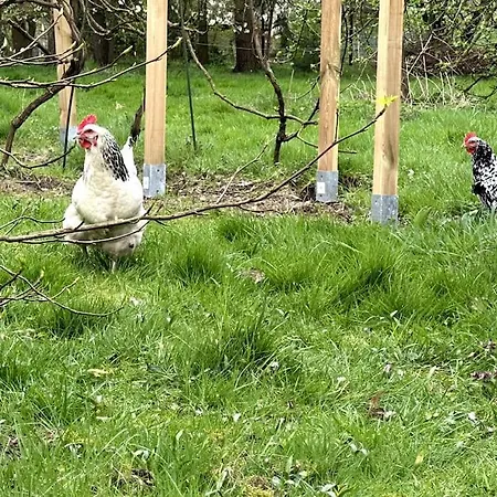 Apartament Kuscheltage Im Zirkuswagen Am Kanal Im Muensterland *