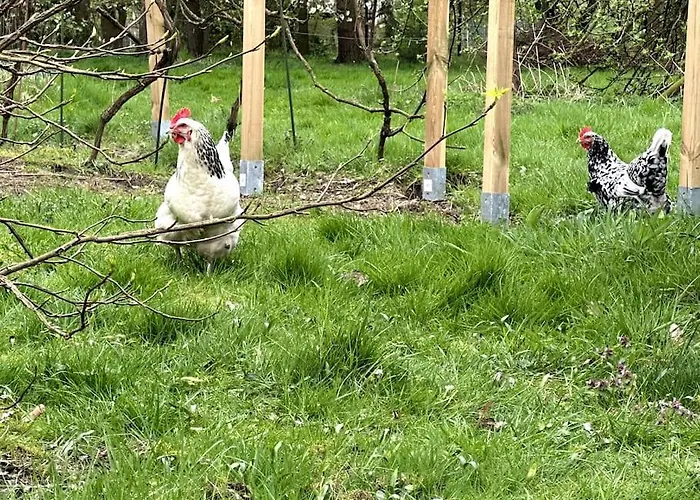 شقة Kuscheltage Im Zirkuswagen Am Kanal Im Muensterland *
